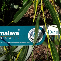 PASTA DO ZĘBÓW DENTAL CREAM 200G