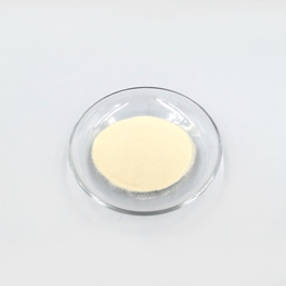 AGAR 100G