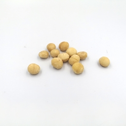ORZECHY MACADAMIA 50G